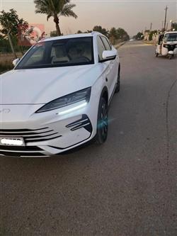 بي واي دي سونغ بلس